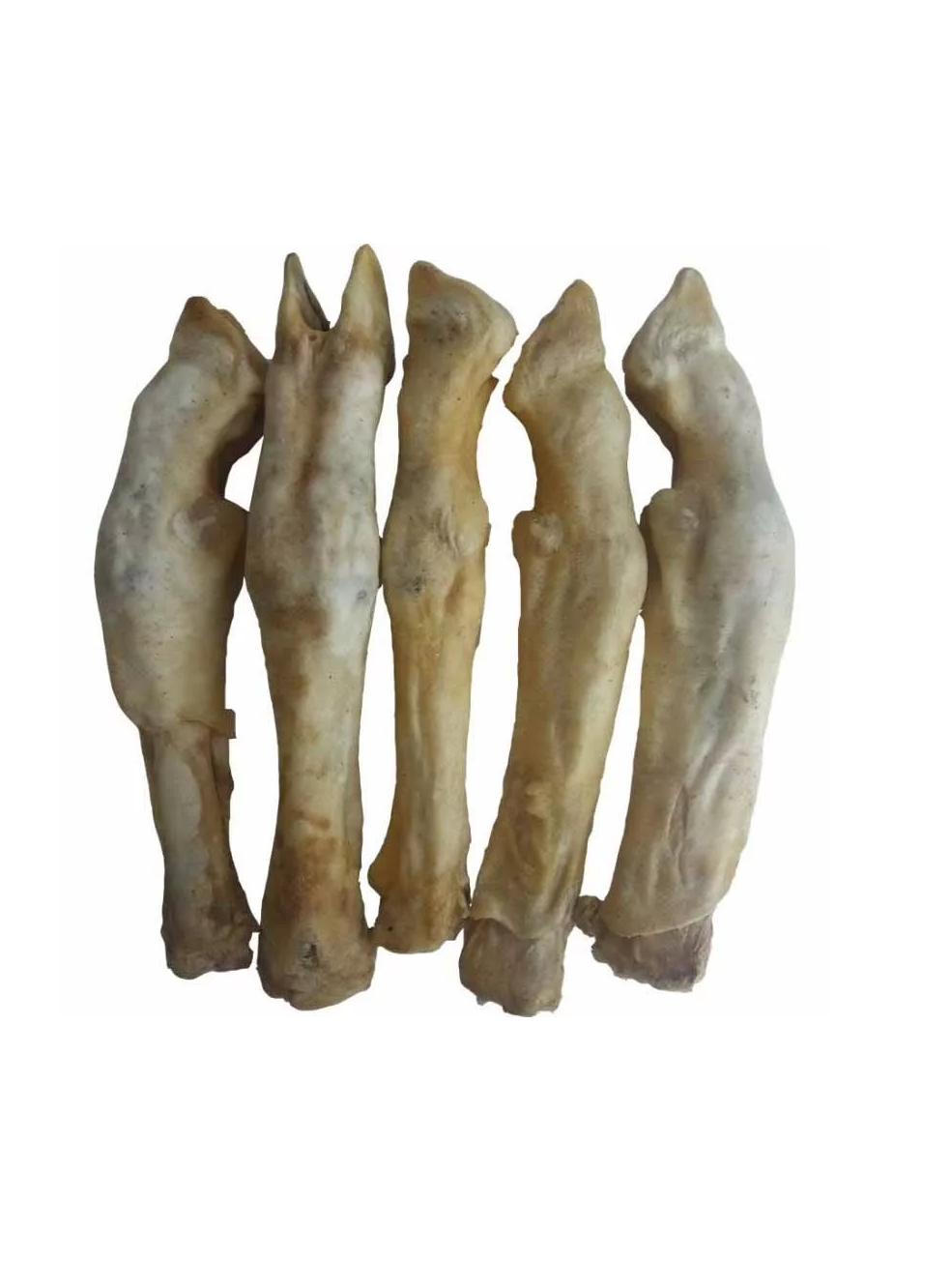 teomann-szaritott-baranylab-1db kép